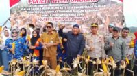 Swasembada Pangan , Pertanian Komoditas Jagung di Lebak Kini Mulai Panen Raya
