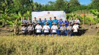 Bersama Kakanwil Ditjenpas Banten, Lapas Rangkasbitung Gelar Panen Raya Padi