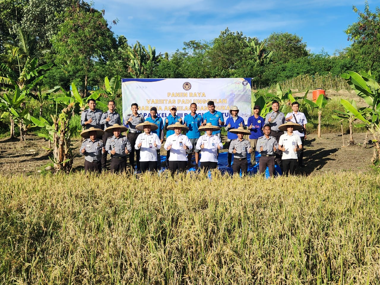 Bersama Kakanwil Ditjenpas Banten, Lapas Rangkasbitung Gelar Panen Raya Padi Bersama Kakanwil Ditjenpas Banten, Lapas Rangkasbitung Gelar Panen Raya Padi