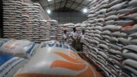 Mentan: Terima Kasih Kepada Petani Dan Seluruh Stakeholders Atas Capaian Spektakuler 4 Juta Ton Cadangan Beras*
