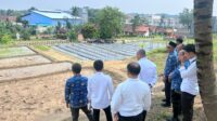 #Optimalkan Ketahanan Pangan, SAE Lapas Rangkasbitung Disambangi Dinas Pertanian Lebak