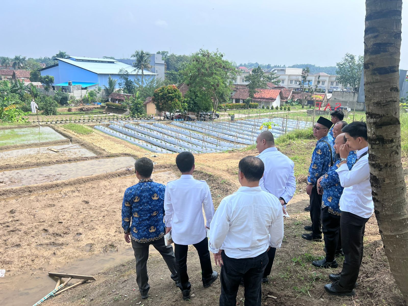 #Optimalkan Ketahanan Pangan, SAE Lapas Rangkasbitung Disambangi Dinas Pertanian Lebak #Optimalkan Ketahanan Pangan, SAE Lapas Rangkasbitung Disambangi Dinas Pertanian Lebak