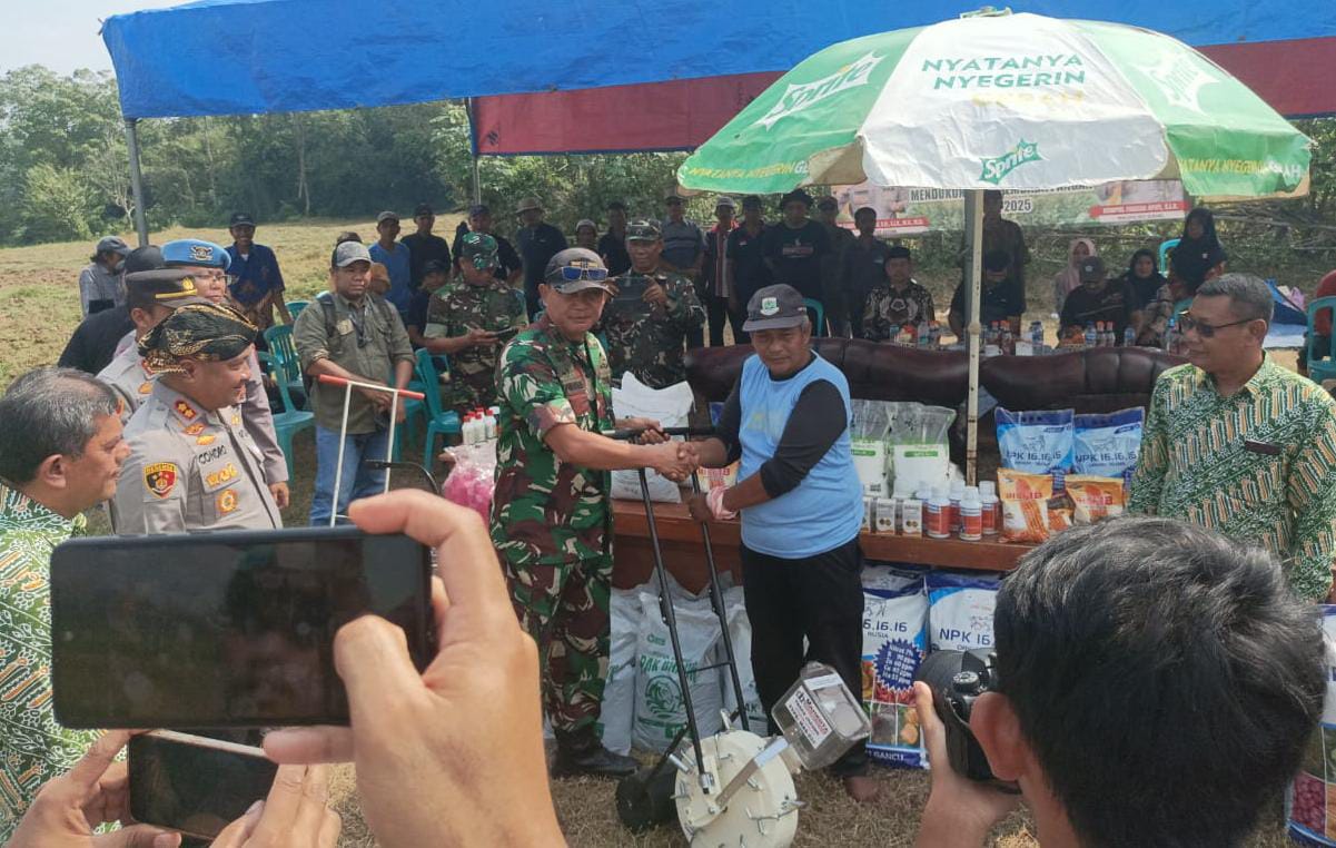 Danramil 0602-20/Pamarayan Dukung Ketahanan Pangan, Melalui Penanaman Raya Jagung Kuartal III Danramil 0602-20/Pamarayan Dukung Ketahanan Pangan, Melalui Penanaman Raya Jagung Kuartal III