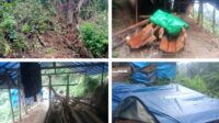 Hutan Gundul, Tambang Menganga: TNGHS Jadi Ajang Jarahan Oknum!