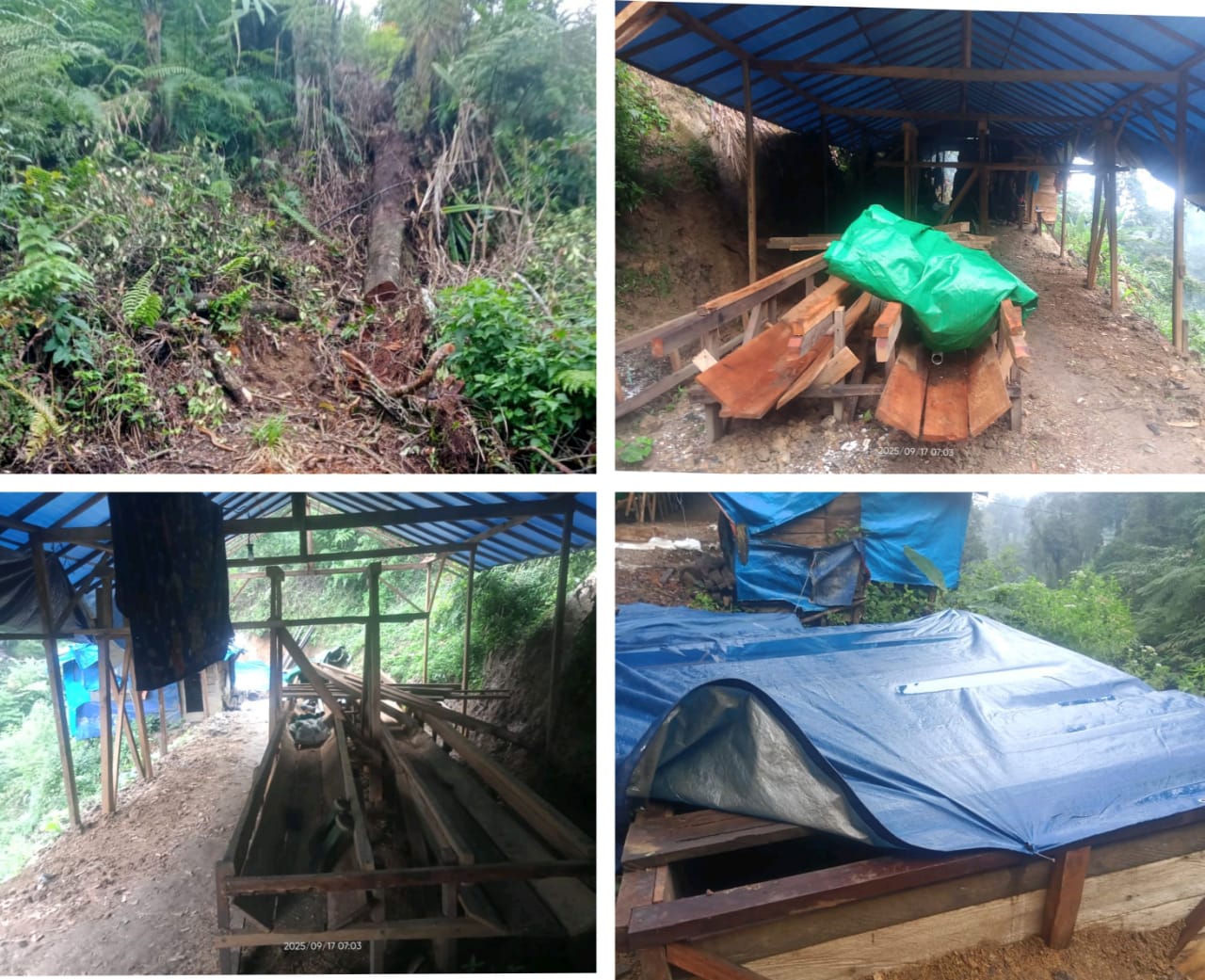 Hutan Gundul, Tambang Menganga: TNGHS Jadi Ajang Jarahan Oknum! Hutan Gundul, Tambang Menganga: TNGHS Jadi Ajang Jarahan Oknum!