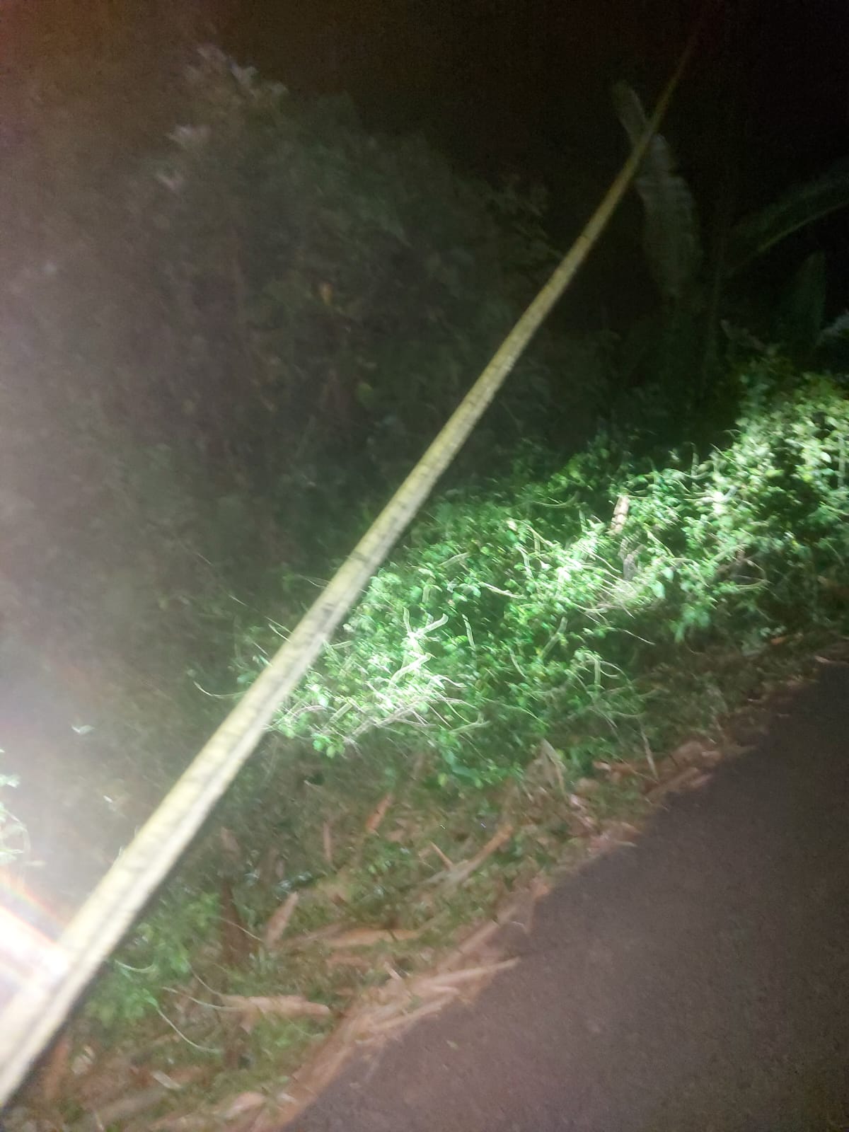 Di duga kelalaian pegawai telkom di sajira hampir memakan korban Di duga kelalaian pegawai telkom di sajira hampir memakan korban