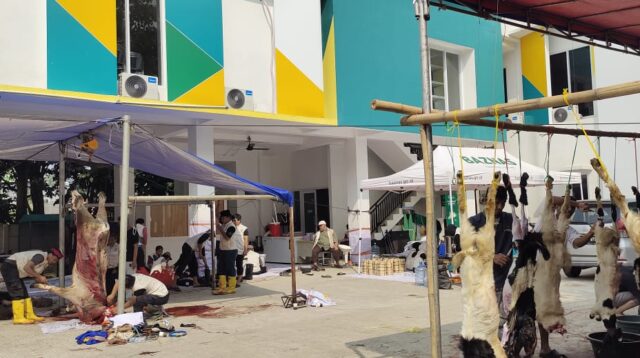 Kurban Berkah BAZNAS Kota Tangerang Selatan: Harmoni Ibadah dan Kepedulian Sosial