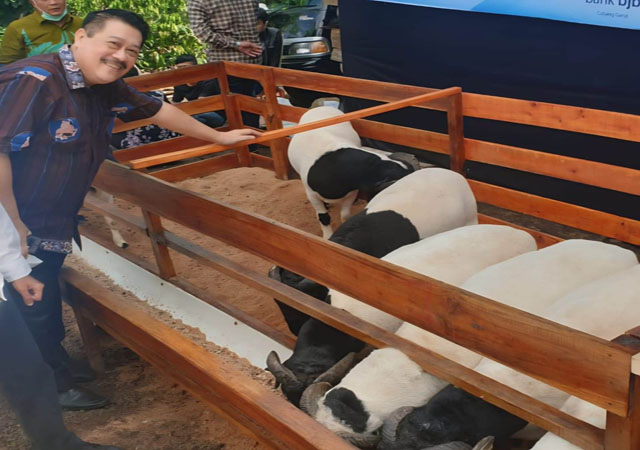 UPZ IKA Unpad Tebar Daging Domba Premium Untuk Masyarakat Di Momentum Idul Adha UPZ IKA Unpad Tebar Daging Domba Premium Untuk Masyarakat Di Momentum Idul Adha