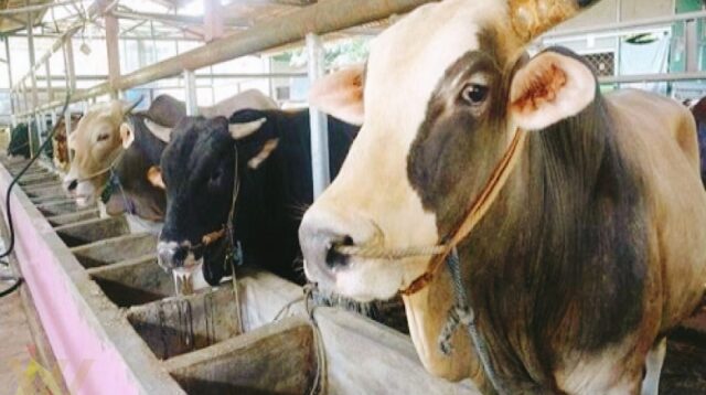 Berkurban itu Aksiologis Sosial dan Pribadi Pancasilais