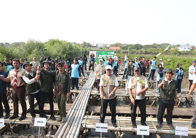 Camat Mauk Apresiasi Gerakan Environmental Journalist Network, 10.000 Batang Mangrove Ditanam di Pesisir Ketapang