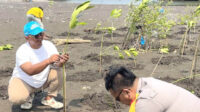 Kalung Tanam Ribuan Mangrove di Desa Muara, Perkuat Perlindungan Pesisir Utara Tangerang