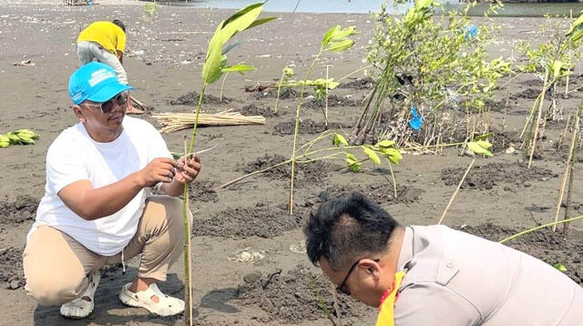 Kalung Tanam Ribuan Mangrove di Desa Muara, Perkuat Perlindungan Pesisir Utara Tangerang