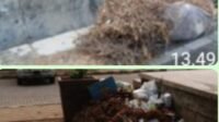 Miris! Sampah Diberbagai Tempat di Kota Kalianda Menjadi Sorotan Masyarakat