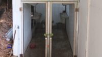 Beredar Isu Kucing Diracun di BSD, Pengurus Cluster Taman Giri Loka Bantah dan Sebut Hoaks