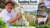 Menekan Stunting di Desa dan Memperkuat Ketahanan Gizi, Kambing Perah sebagai Strategi Berkelanjutan