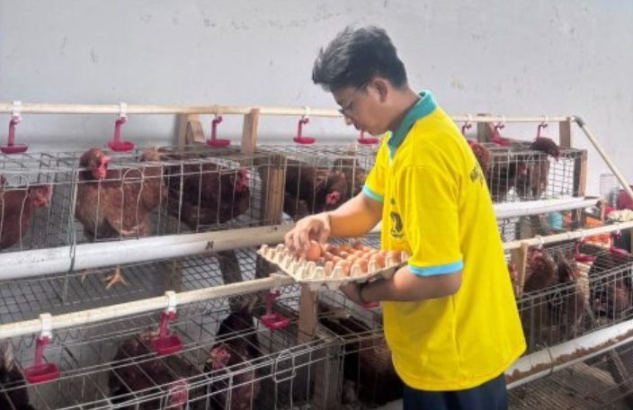 Lapas Kalianda Kembangkan Peternakan Ayam Petelur sebagai Sarana Pembinaan Kemandirian Warga Binaan