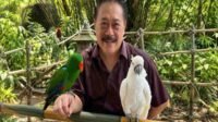 Konservasi Burung Liar dari Halaman Rumah: Strategi Membangun Taman Ramah Burung dan Koridor Hijau Perkotaan