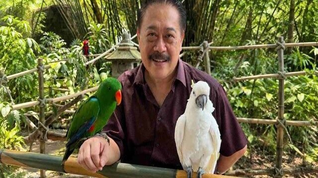 Konservasi Burung Liar dari Halaman Rumah: Strategi Membangun Taman Ramah Burung dan Koridor Hijau Perkotaan