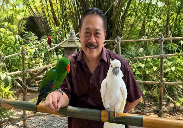 Konservasi Burung Liar dari Halaman Rumah: Strategi Membangun Taman Ramah Burung dan Koridor Hijau Perkotaan
